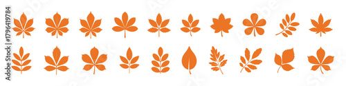 Set of autumn leaves and branches from different trees, maple, oak, aspen, chestnut. Simple flat falling yellow, red, orange autumn leaf. Vector illustration on white background 