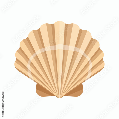 Single scallop shell isolated on a white background.