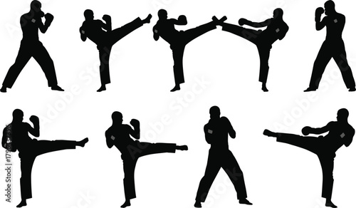 Martial arts silhouettes, karate poses, taekwondo kicks, combat stances, fighter training, self defense, black figures, high kick action, athletic movement, dynamic martial choreography