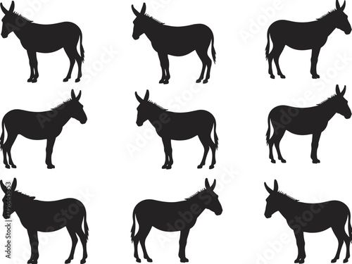Donkey silhouette grid, animal posture comparison, black and white design, visual identification, minimal illustration, educational livestock reference