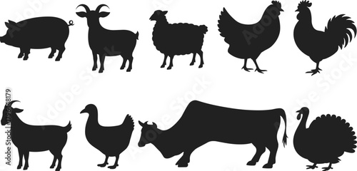 Farm animal silhouette set, pig, goat, sheep, hen, rooster, duck, cow, turkey, black vector illustration, white background
