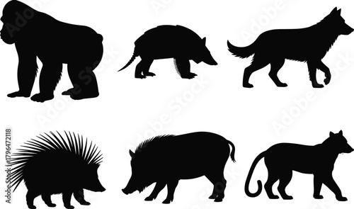 Photography Animal silhouettes, wild creatures, black vector animals, gorilla, armadillo, wo