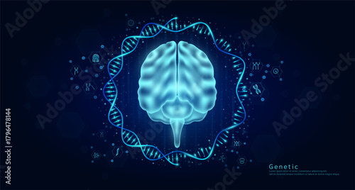 Genetic science medical. Brain organ hologram transparent inside the DNA RNA surrounded by chromosome nucleus cell icons on dark blue background. Banner vector.