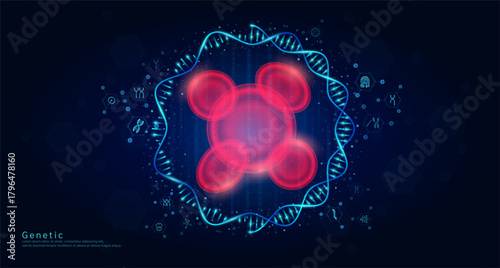 Genetic science medical. Erythrocyte organ hologram transparent inside the DNA RNA surrounded by chromosome nucleus cell icons on dark blue background. Banner vector.