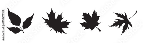 Set of black silhouette maple and linden leaves vector illustration for nature design elements