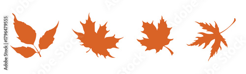 maple leaves icon collection isolated on white background. Canadian maple leaf silhouette vector,vector illustration
