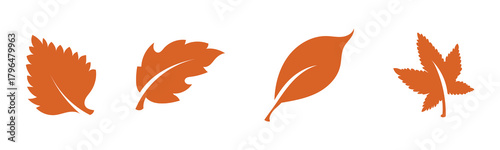 maple leaves icon collection isolated on white background. Canadian maple leaf silhouette vector,vector illustration