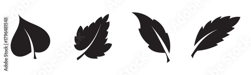 set of autumn leaves, fall leaves silhouette vector set, fall leaves silhouette vector illustration