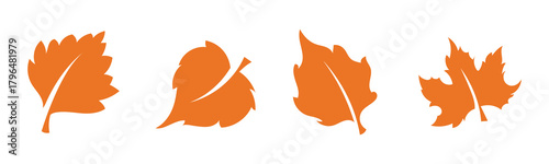 Vector set of black silhouette maple leaves in various styles, perfect for autumn graphics, seasonal designs, and Canadian-themed artwork