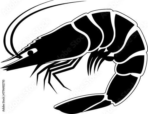 a minimalist drawing of a shrimp, black and white, vector illustration