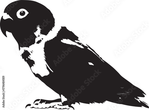 Black and white silhouette of a lovebird perched on its feet vector