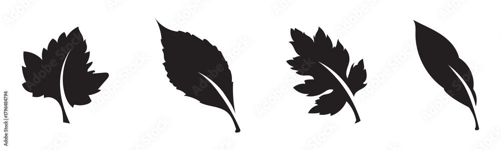 Naklejka premium Set of black leaf silhouettes isolated on white background, collection of various tree leaves for botanical design, autumn decoration, nature illustration or eco-themed artwork