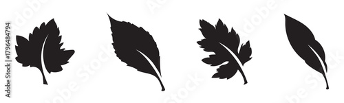 Set of black leaf silhouettes isolated on white background, collection of various tree leaves for botanical design, autumn decoration, nature illustration or eco-themed artwork