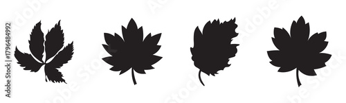 Set of black silhouettes of leaves on white background vector illustration