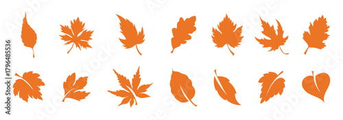 A collection of diverse autumn leaf silhouettes in white, featuring various shapes and styles like maple, oak, and compound leaves, set against a stark black background.