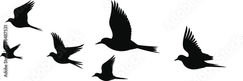 Birds in Flight Silhouette, Black Flying Bird Vector, Nature Motion Icons, Wildlife Shape Collection, Sky Animal Design, Minimal Art