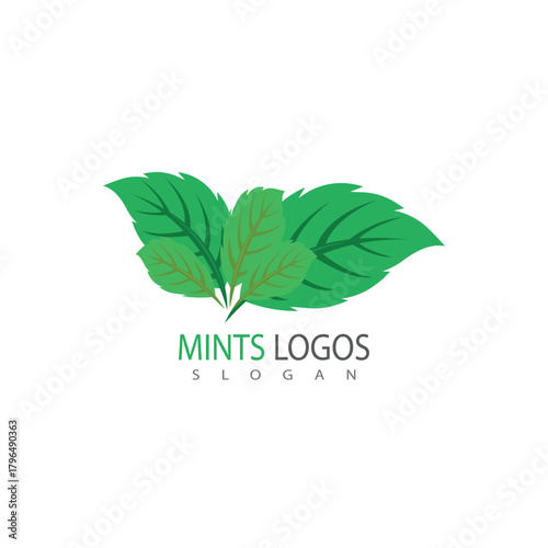 Simple mint logo leaf vector and symbol