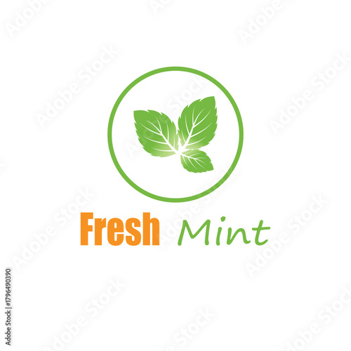 Simple mint logo leaf vector and symbol