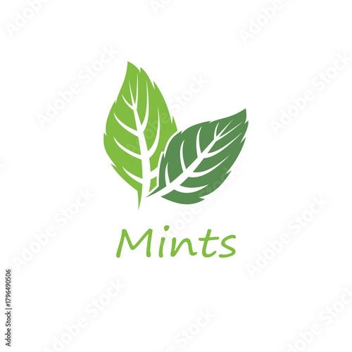 Simple mint logo leaf vector and symbol
