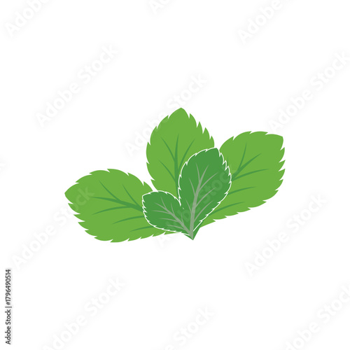 Simple mint logo leaf vector and symbol
