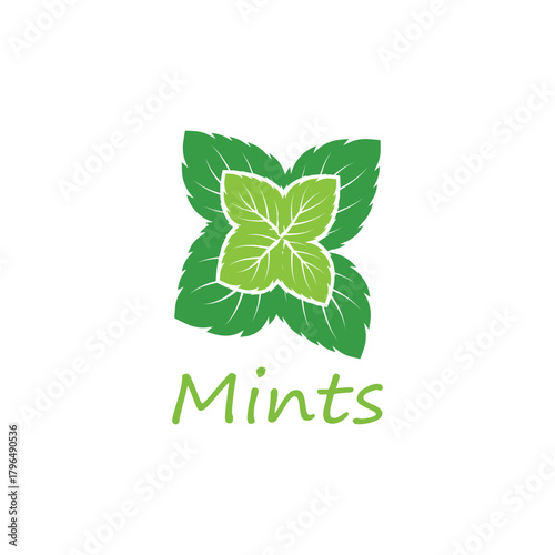 Simple mint logo leaf vector and symbol