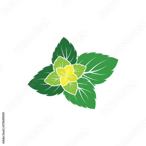 Simple mint logo leaf vector and symbol