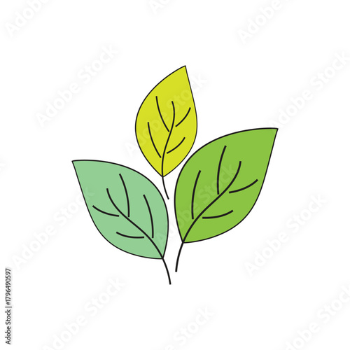 Simple mint logo leaf vector and symbol