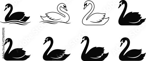 Swan silhouette vector set, black and white icons, elegant bird poses, swimming and sitting styles, isolated on white background, nature design