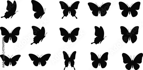 Butterfly silhouette vector set, black icons, unique wing shapes, flying insects, nature design, isolated on white background, pattern recognition reference