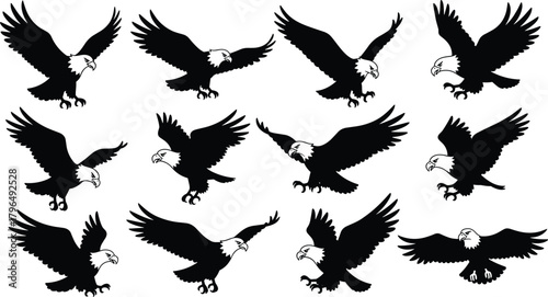 Eagle silhouette vector set, flying eagle, landing eagle, bird of prey poses, black bird shapes, wildlife illustration, majestic raptor motion