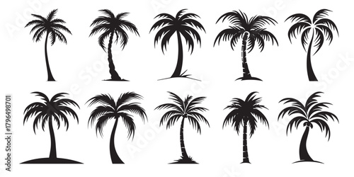 abstract palm tree icons pack design template