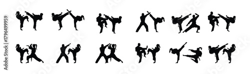 big set of vector illustration of silhouette karate in fight