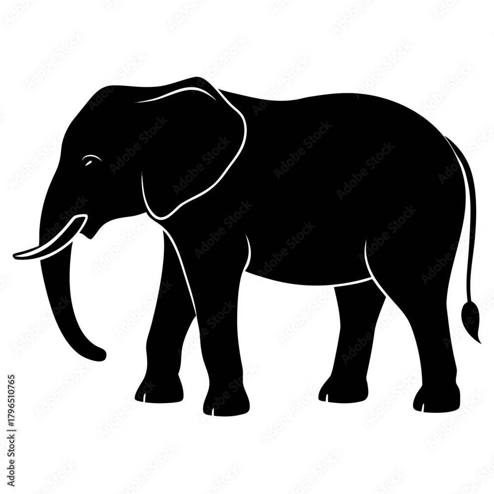 Obraz premium Elephant vector illustration