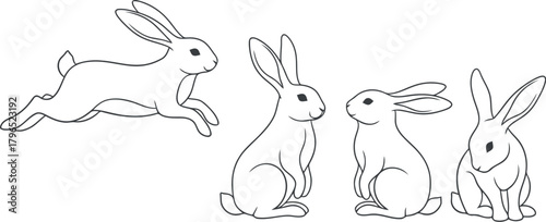 Whimsical line drawing of four playful bunnies in various poses