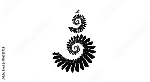 Intricate black ammonite fossil spiral shapes on a clean white background