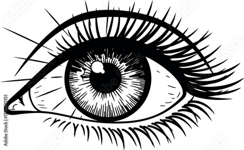Detailed black and white sketch of a human eye with long lashes