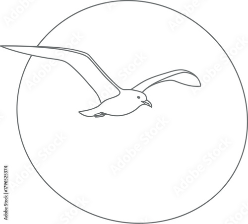 Minimalist outline of a seagull flying within an oval shape
