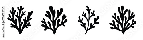Set of four stylized black seaweed silhouettes decorative marine plant graphics