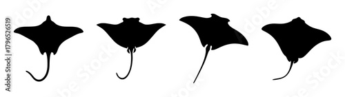 Four black silhouettes of stingrays in various poses displayed side by side