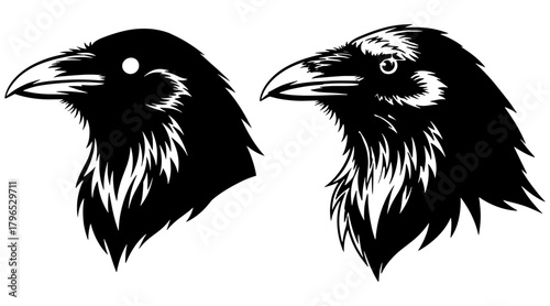 Raven head vector illustration