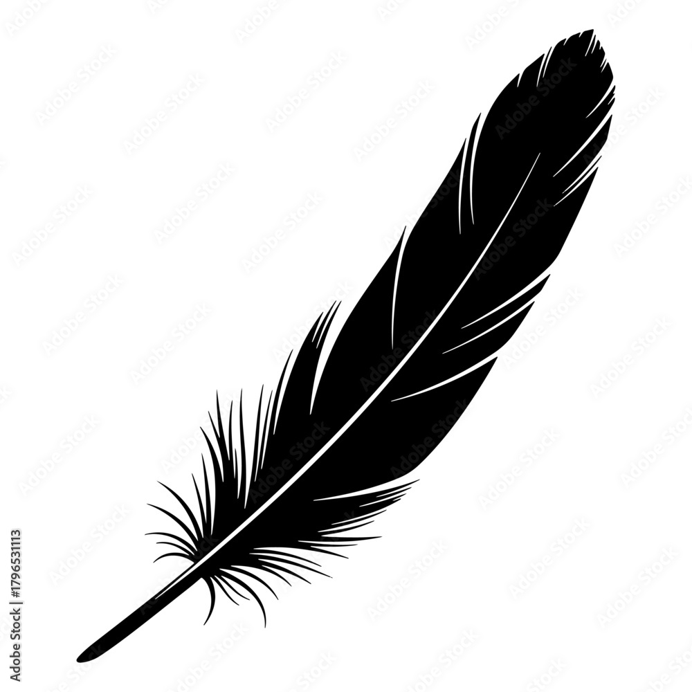Fototapeta premium Feather silhouette illustration