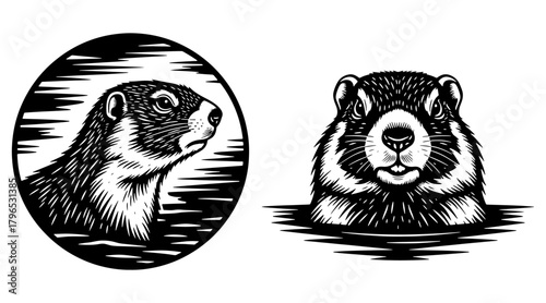 Marmot animal head illustration
