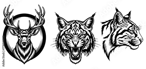 Wildlife animal heads illustration set