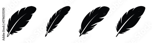 Four black feathers isolated elegant symbols for writing and nature graceful design elements