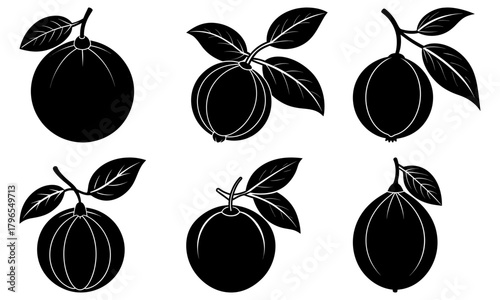 Black and white vector illustration of six plums with leaves on branches in silhouette style design