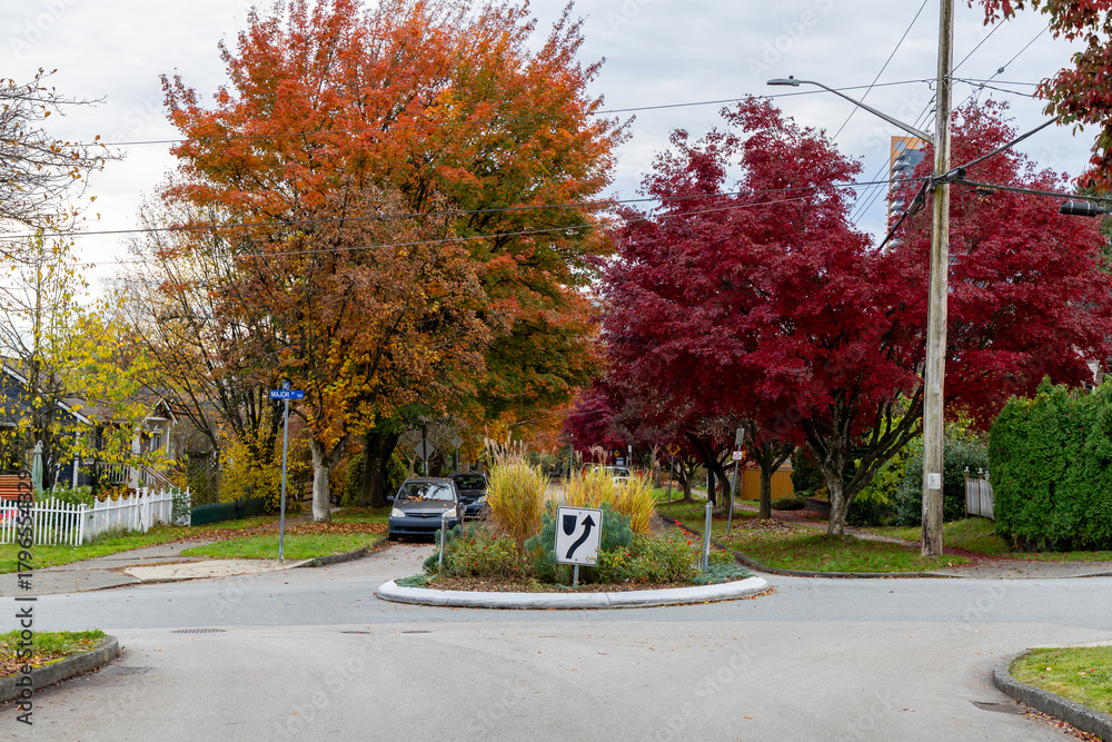 Obraz premium Autumn Roundabout With Colorful Fall Trees In New Westminster Neighborhood, Greater Vancouver, BC