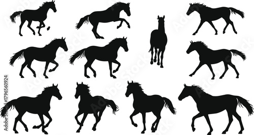 Horse silhouettes, walking, trotting, galloping, dynamic poses, equine motion, black vector icons, animal movement, mane flow, anatomy reference, grid layout
