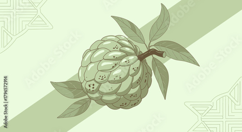 Fresh Custard Apple Illustration on a Soft Green Background with Decorative Elements