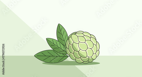 Fresh Custard Apple Illustration on a Light Green Background Displaying Deliciousness