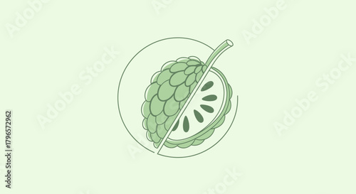 Fresh Custard Apple Illustration Showing Its Inside Sections In A Bright Tone